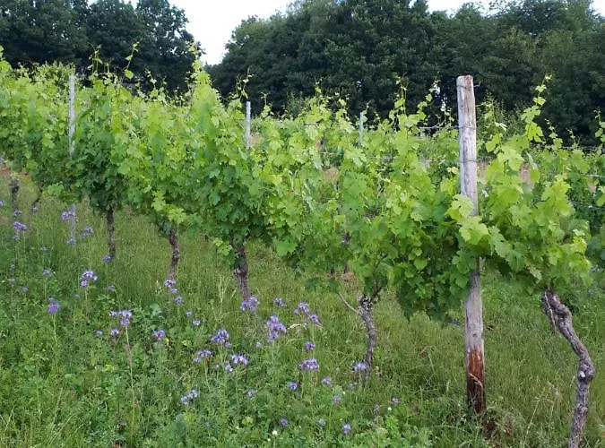 Emma Apartamento Konz