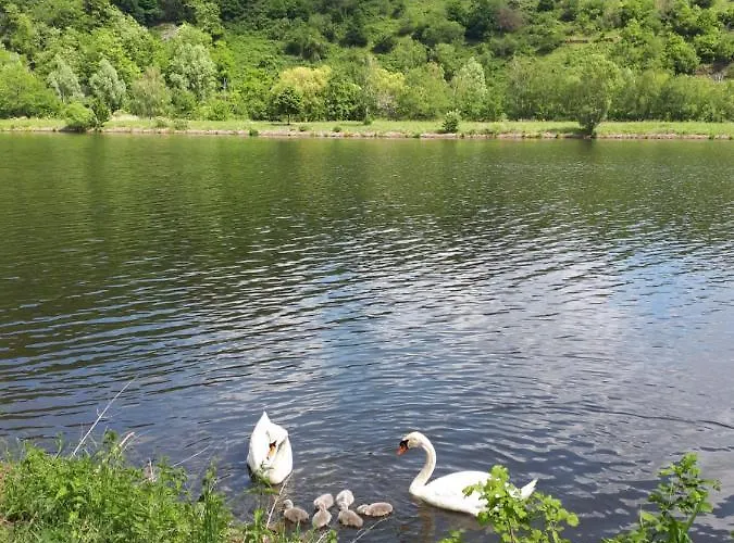 Emma Apartamento Konz